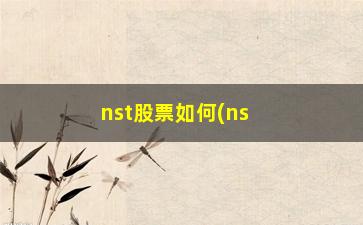 “nst股票如何(nst股票术语)